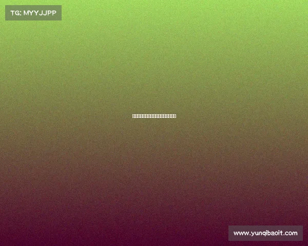 《星火燎原:火箭电竞队的荣耀征程》 《星火燎原:火箭电竞队的荣耀征程》